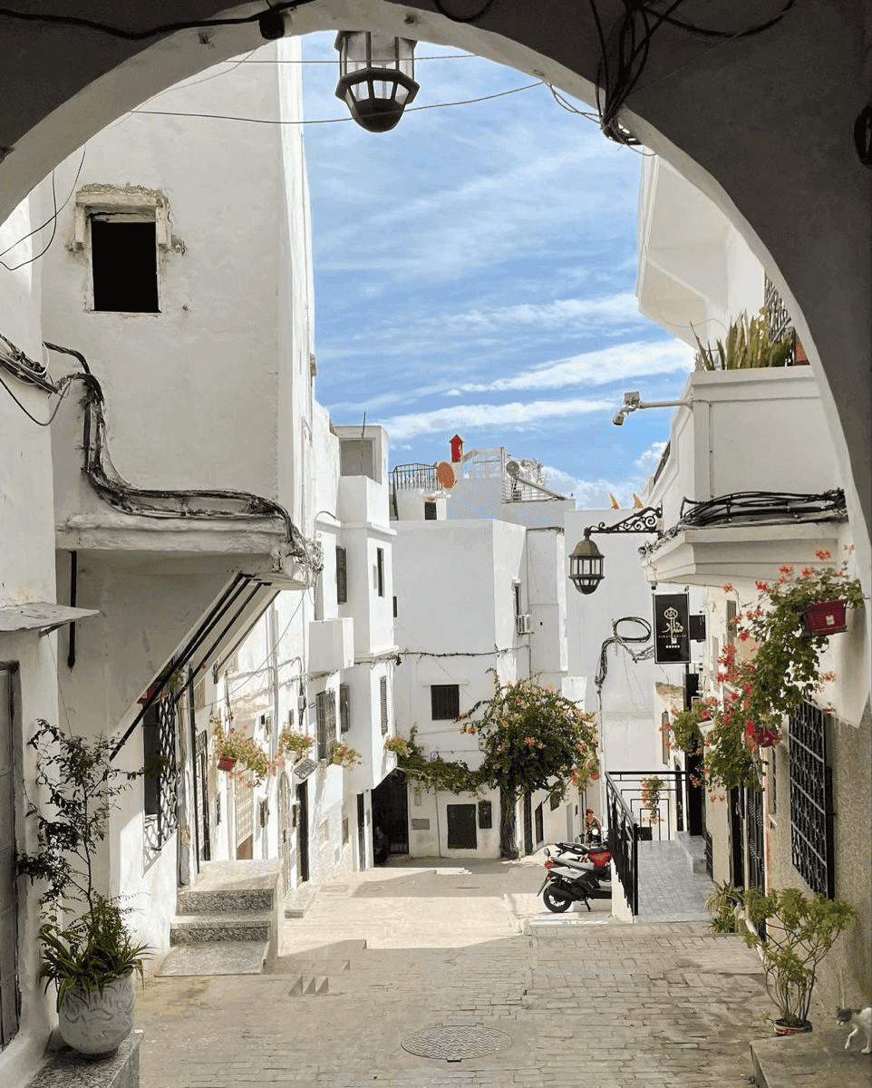 El mejor alquiler de coches en Marruecos: su guía completa para 2026